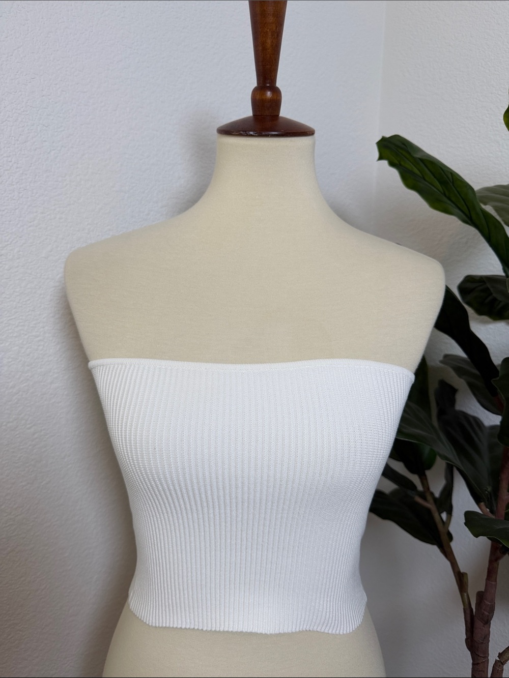 Aritzia Ribbed Strapless Tube Top